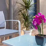 Sp Luxury - Couette-café